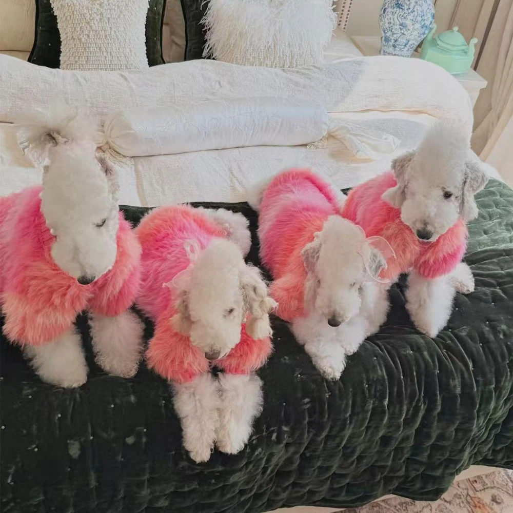 Suéter invierno lujo rosa para perros pequeños Bedlington Terrier - imagen 4