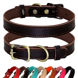 Collar cuero blando para Chihuahuas y Bulldog Francés