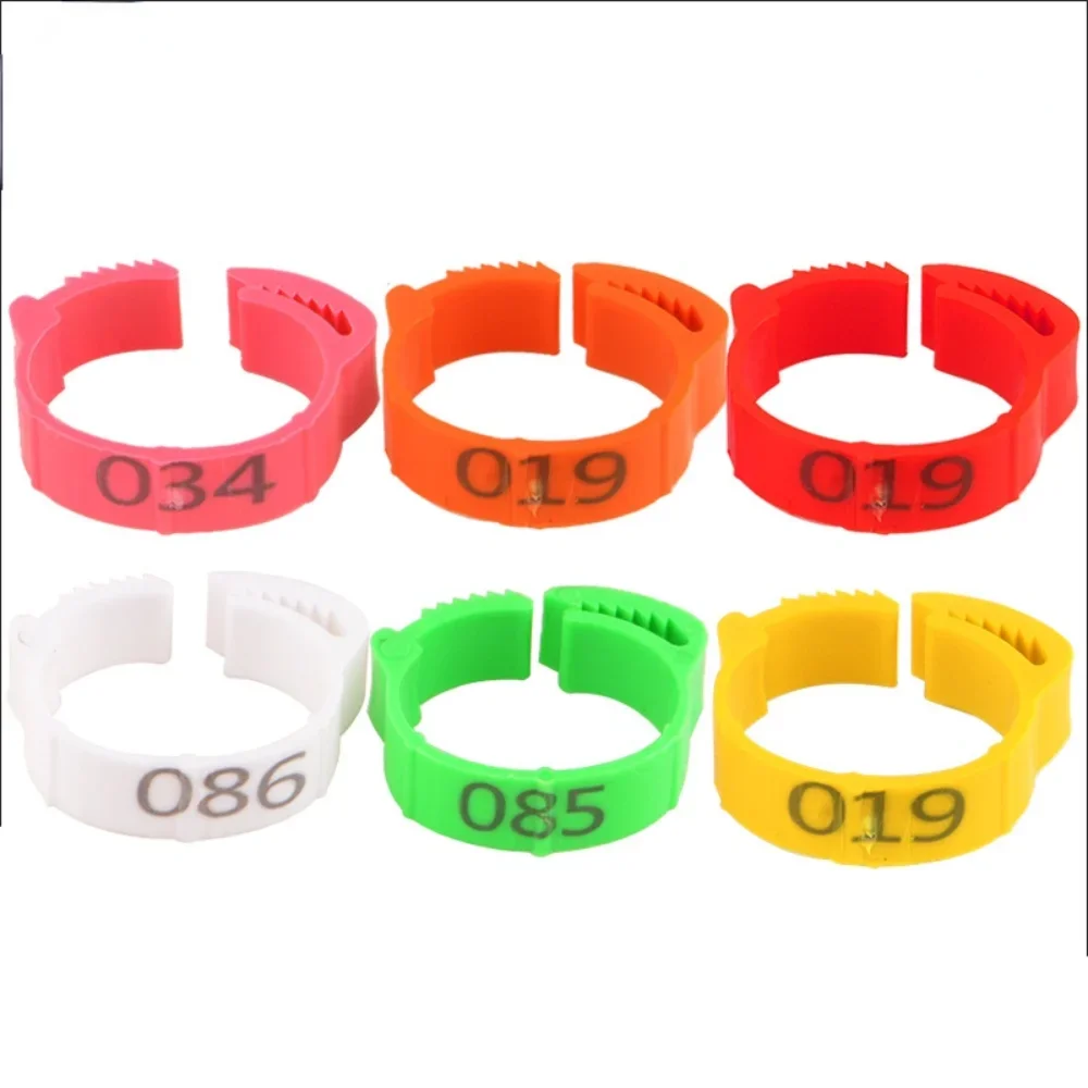Anillo de pie de pollo ajustable, identificación numerada, 6 colores, Clip para aves de corral, pollos, patos, gansos y loros, 10/30/50 unidades - imagen 2