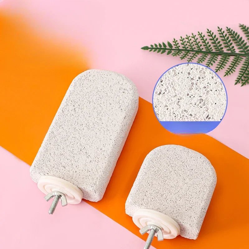 Varilla de estación para loros, suministros para pájaros, estante de estación exfoliante, varilla de garra para rechinar dientes, accesorios para pájaros, 1 ud. - imagen 2