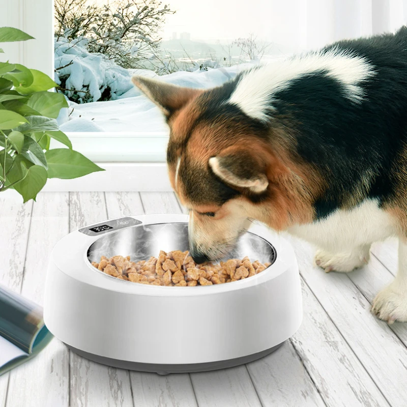 Cuenco calefactor inteligente para mascotas, lavabo para perros y gatos, cuenco aislante de temperatura constante, agua potable para gatos, calefacción, lavabo de grano de agua