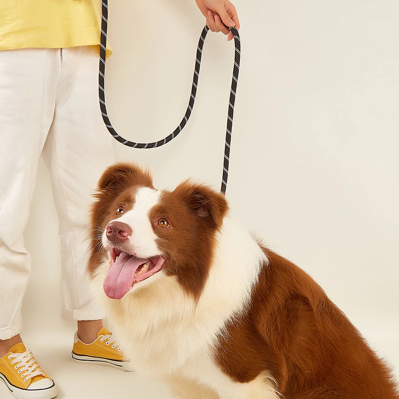 CAWAYI KENNEL-Perrera de nailon reflectante con doble correa para mascotas, cuerda de tracción para correr, manos libres, cadena para perros grandes - imagen 3