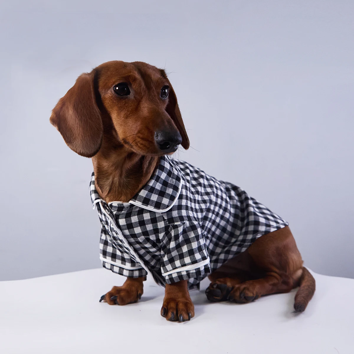 Pijama de cuadros azules para perro teckel – Abrigo invernal suave - imagen 3