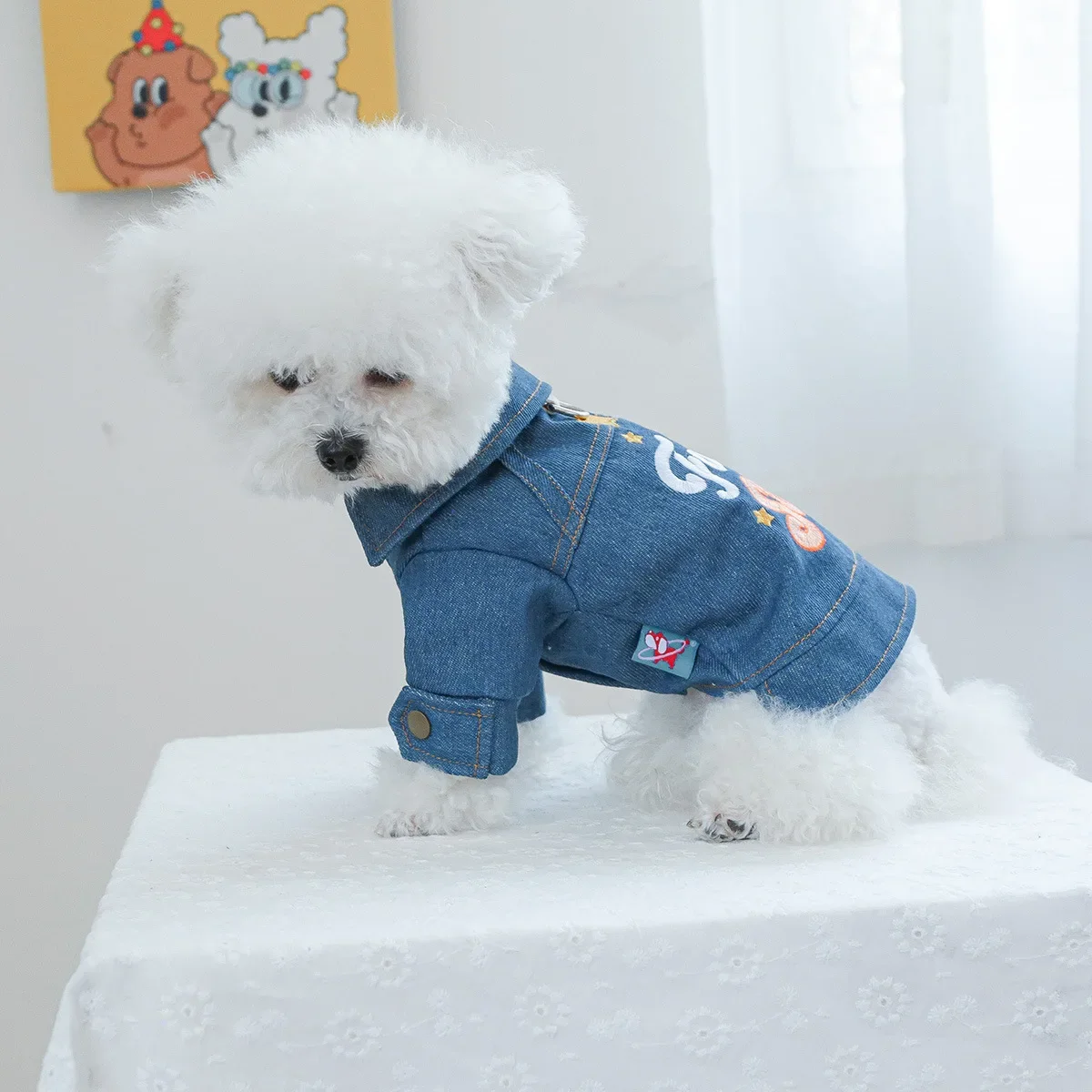 Abrigo vaquero con forma de estrella para mascotas, chaqueta para perros, abrigo con solapa para gatos, cortavientos vaquero con estrellas, ropa de diseñador para perros, ropa para cachorros - imagen 3