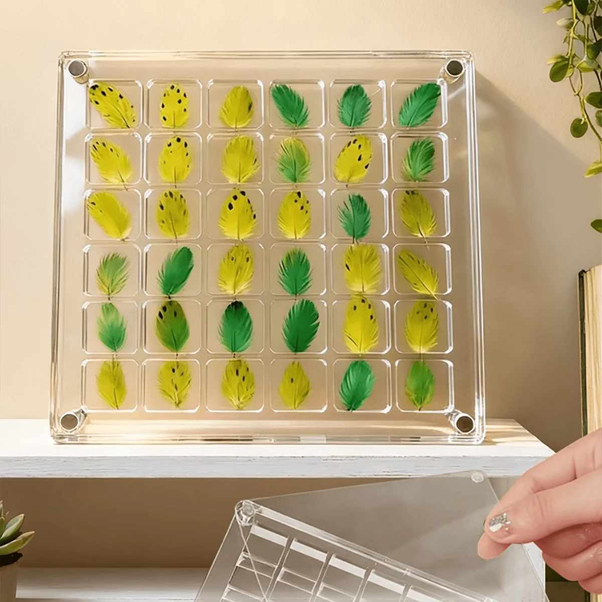 Colector de plumas de loro de 36 rejillas, marco magnético similar al acrílico, almacenamiento de pelo de pájaro mascota, estuche de exposición conmemorativo, adorno decorativo - imagen 5