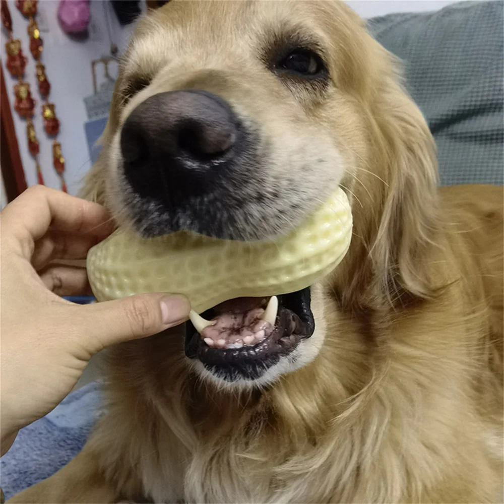 Juguetes para masticar para mascotas, con formas de frutas y verduras, chirriantes, para perros pequeños y medianos, gran oferta, 2 piezas/3 piezas - imagen 4