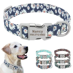 Collar identificativo de nailon para perro con nombre grabado