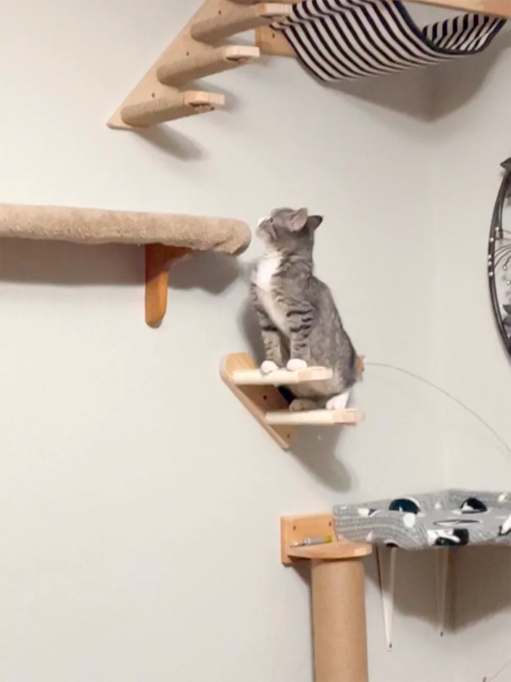 Estantes de madera para árbol de gato montados en la pared, postes rascadores, torre para gatos trepadora, hamaca con perchas flotantes sólidas, escalones y escalera - imagen 5