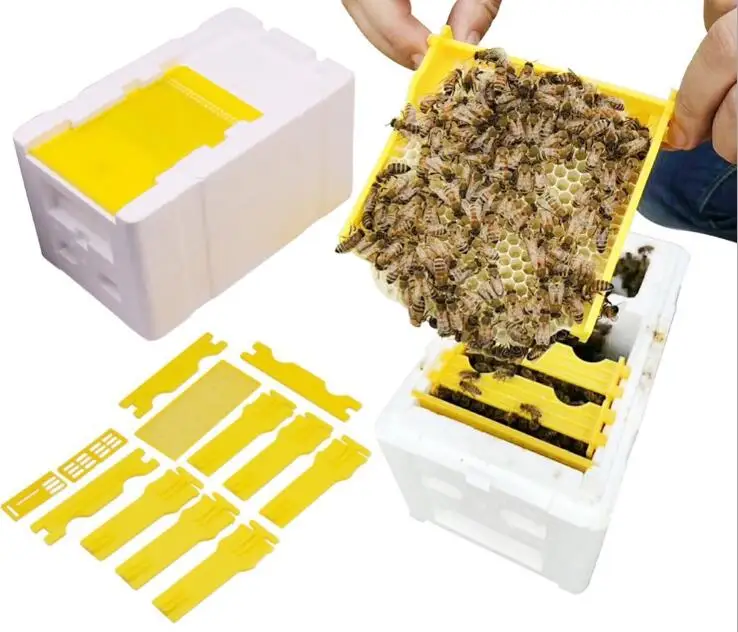Caja de polinización de espuma para cría de abejas reina, colmena, herramienta de apicultura, caja de espuma para cría de abejas, Kit de equipo de apicultura, 1 Juego