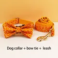 Bow Collar Leash Set