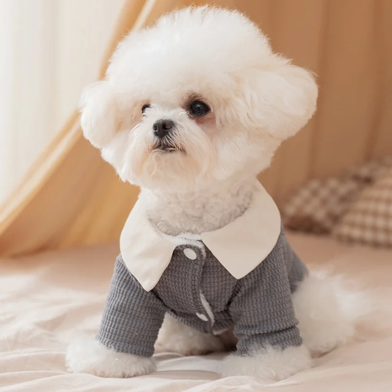 Abrigo cálido y suave para perro, ropa de invierno de felpa para perro, chaqueta para cachorro a la moda, abrigo con estampado de letras, Chaqueta de algodón para gato, disfraz para mascota Chihuahua - imagen 4