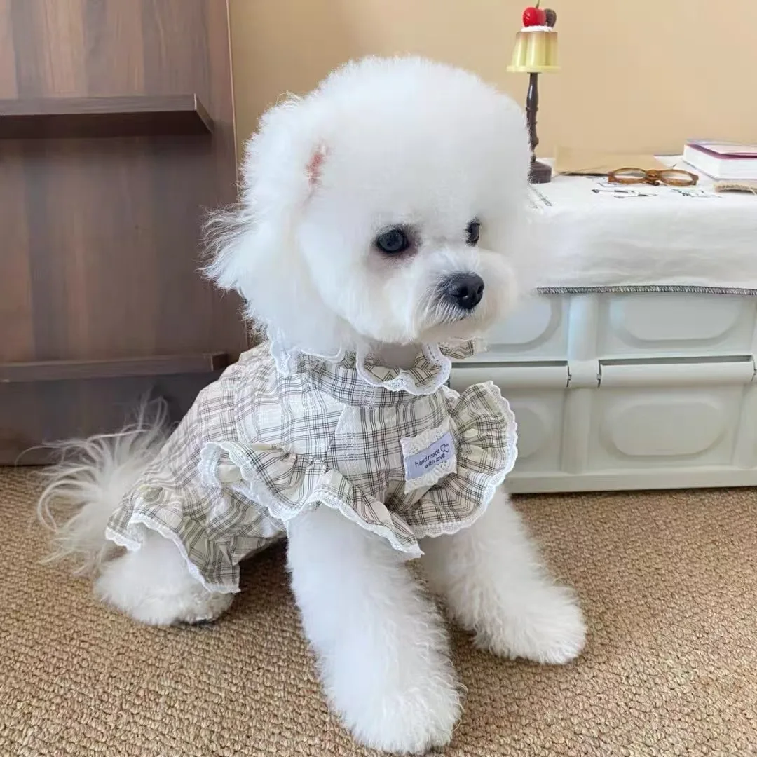 Nueva ropa para perros, falda de encaje, camisa, ropa para caminar al aire libre para perros, camisa de verano, falda para perros de diseño a la moda - imagen 2