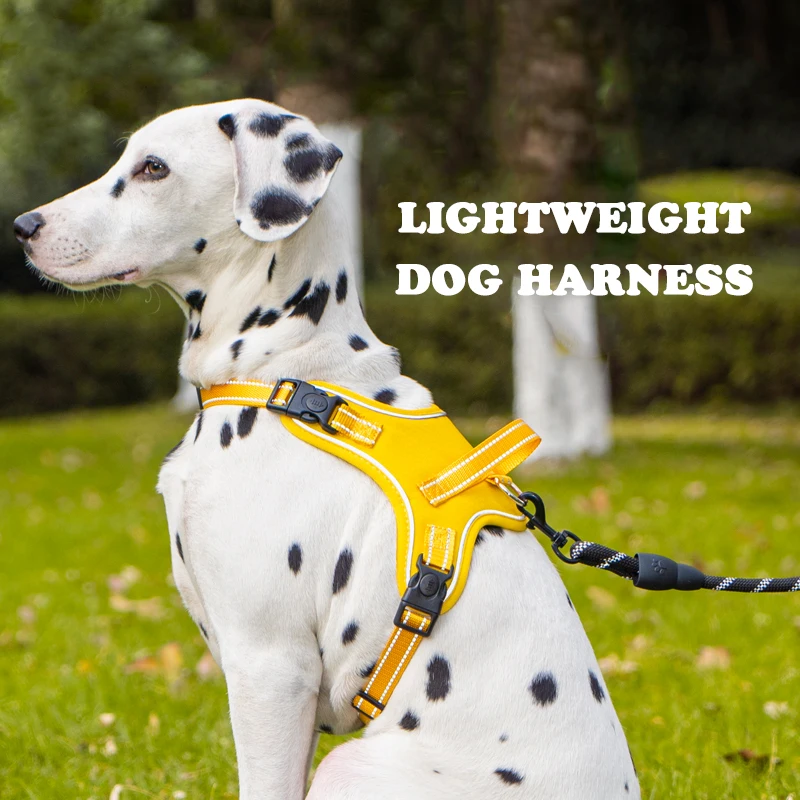 Arnés para perros, sillín para mascotas, estructura de desgaste rápido, protección, correa para el pecho ultraligera, chaleco de seguridad antirotura a prueba de explosiones para perros - imagen 5
