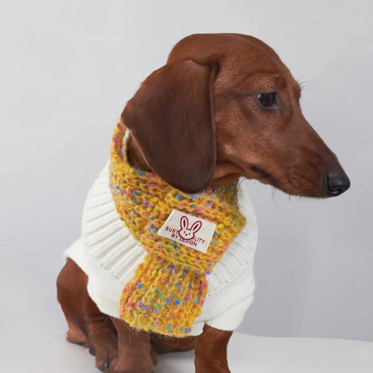 Pañuelo anticongelante cálido para perros Wiener en otoño invierno, bufanda de punto dulce y agradable para la piel para perros pequeños y medianos de perro salchicha
