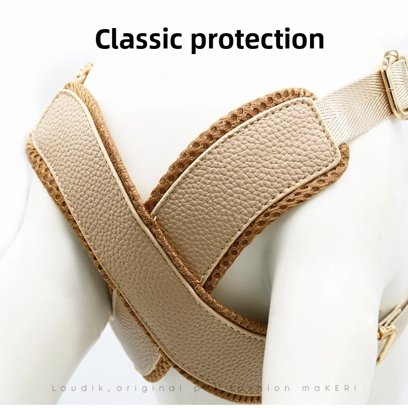 Arnés de pecho de cuero para mascotas, correas grandes para perros, entrenamiento de mascotas, cables personalizados, productos para salir, transpirables y cómodos - imagen 2