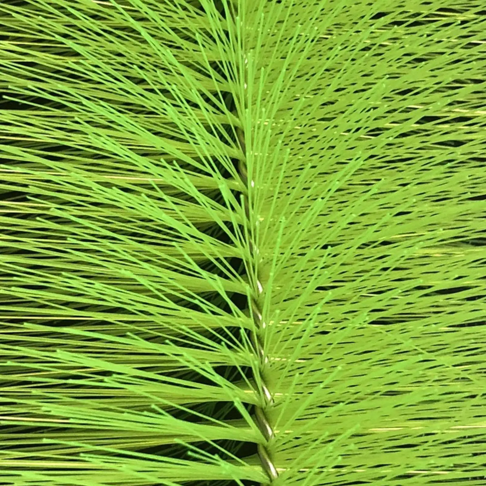 Cepillo para limpiar filtro de acuario y estanque de jardín - imagen 5