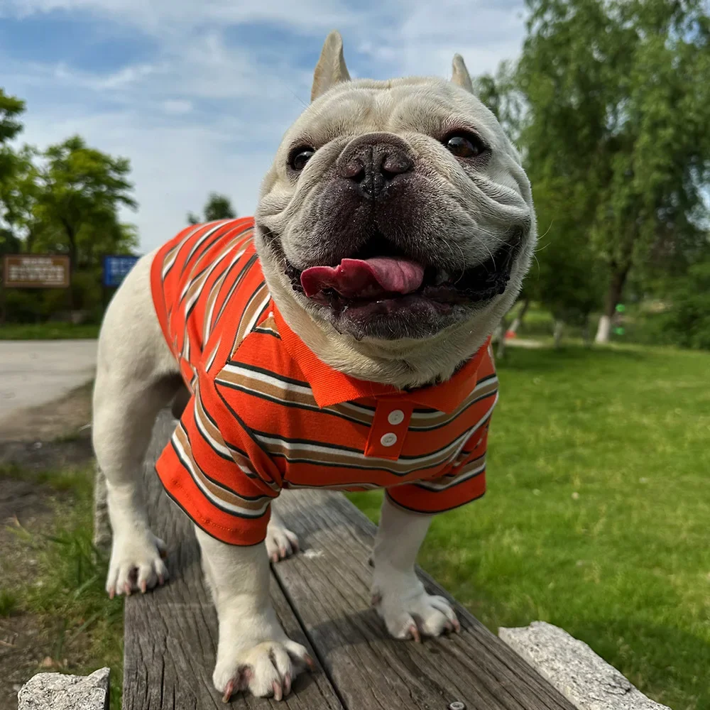 Nueva camisa de algodón puro INS para mascotas, camiseta a rayas, camisa para perros, ropa para perros, ropa para Bulldog Francés Yorkshire Terrier - imagen 3