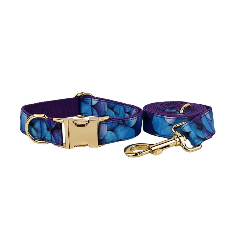 collar and leash set
