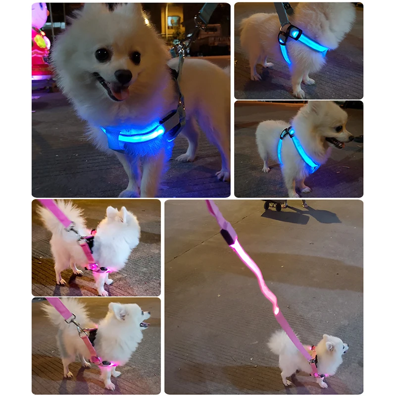 Arnés LED ajustable para perros, sin tirones, banda para el pecho de nailon pequeña, mediana y brillante, Arnes Perro de seguridad nocturna, accesorios para mascotas - imagen 3
