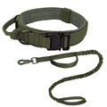Collar-leash green