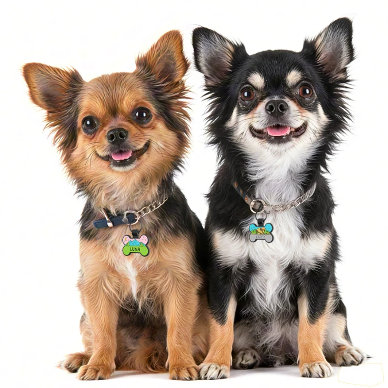 Etiqueta antipérdida de hueso de silicona para mascotas, Collar para perro y gato, etiqueta de nombre, accesorios personalizados para perros, etiquetas de identificación personalizadas para mascotas, colgante - imagen 4