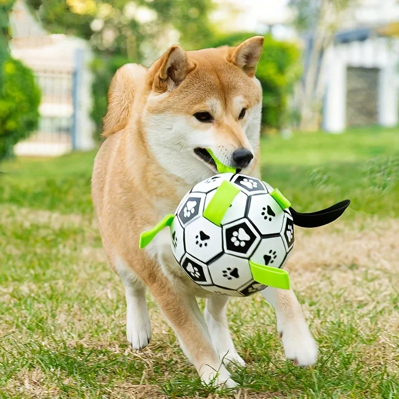 Balón de fútbol interactivo para perros, juguete resistente a mordeduras y dientes, pelota para masticar para perros, juguete para entrenar y jugar para todas las razas - imagen 3
