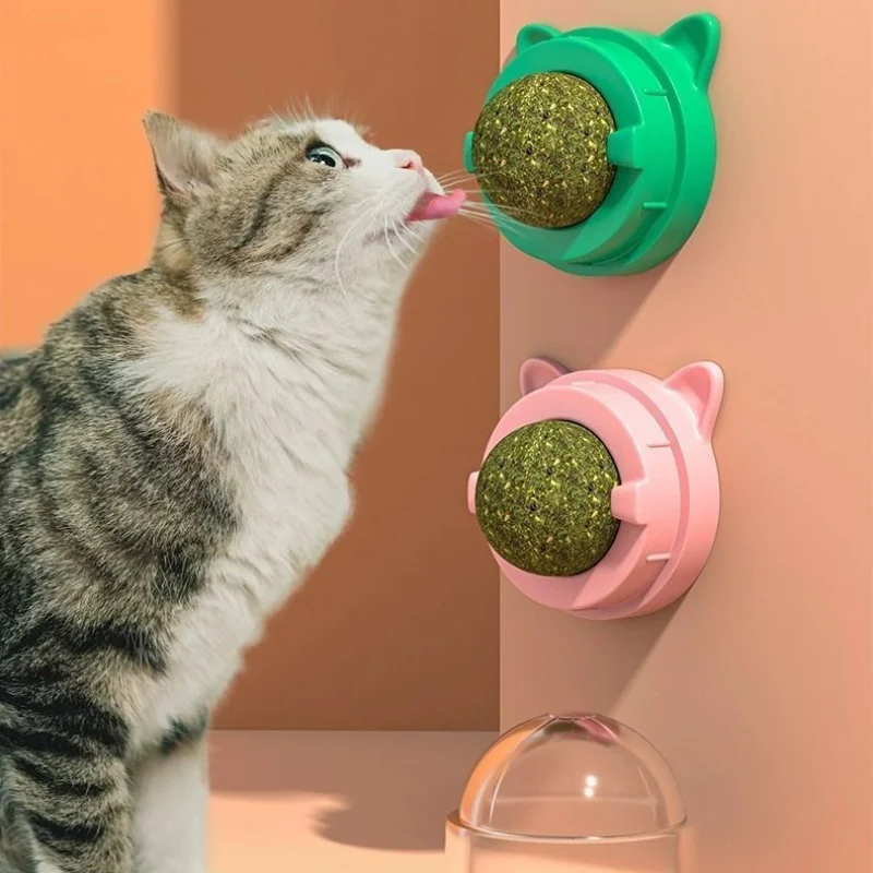Juguete giratorio de bola de pared con hierba gatera con rascador y hierba para gatos: limpieza de dientes, digestión saludable y juego divertido - imagen 4