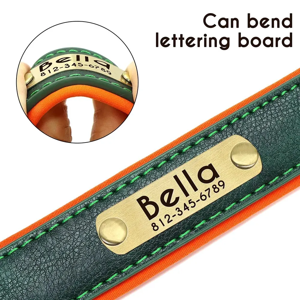 Collar personalizado para perro acolchado con placa y grabado gratis - imagen 5