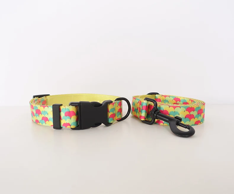 Collar y correa en tono manzana
