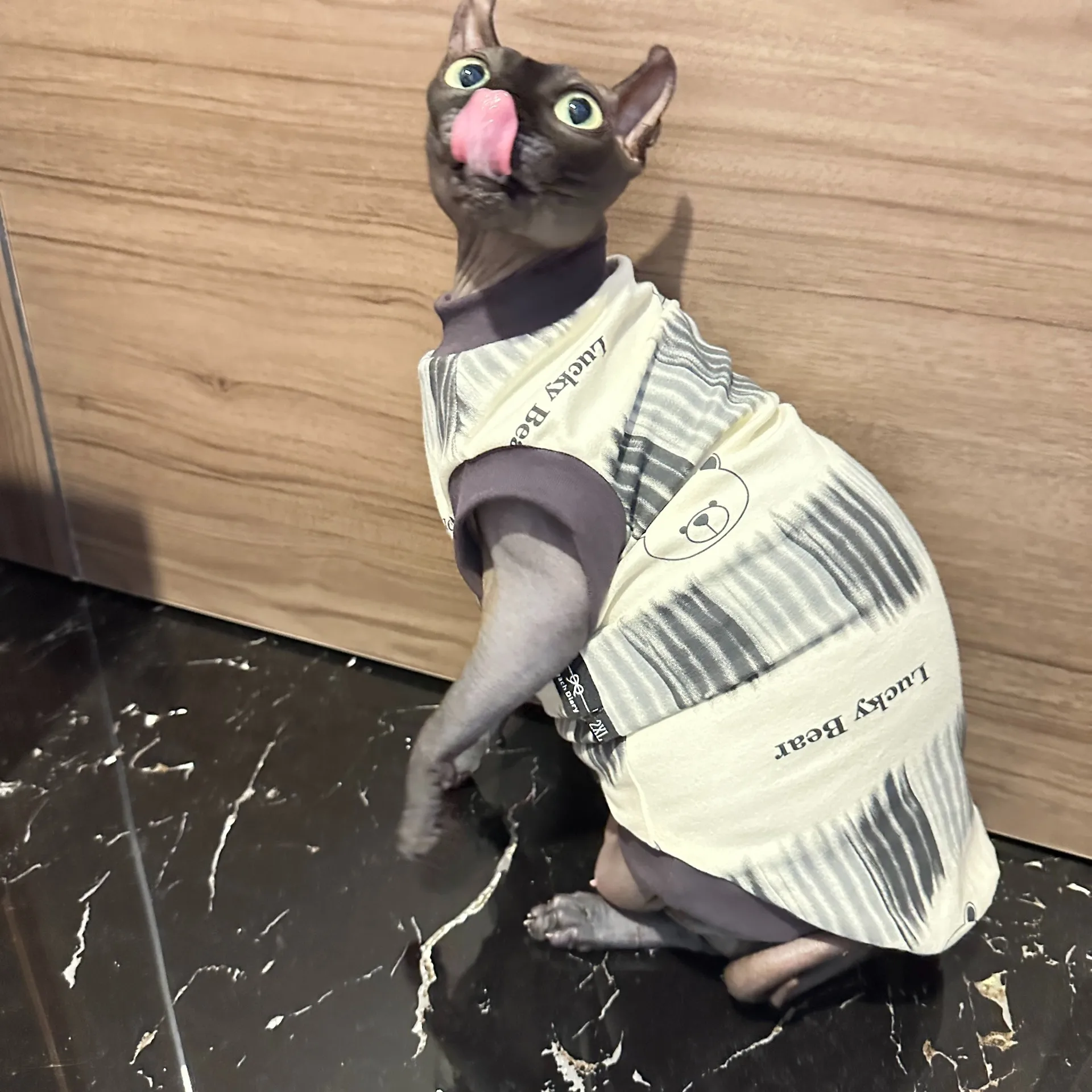 Camiseta de algodón de manga corta gris suave para Devon Rex en pijamas de dibujos animados de verano para gato Sphynx en primavera lindo chaleco para gatitos