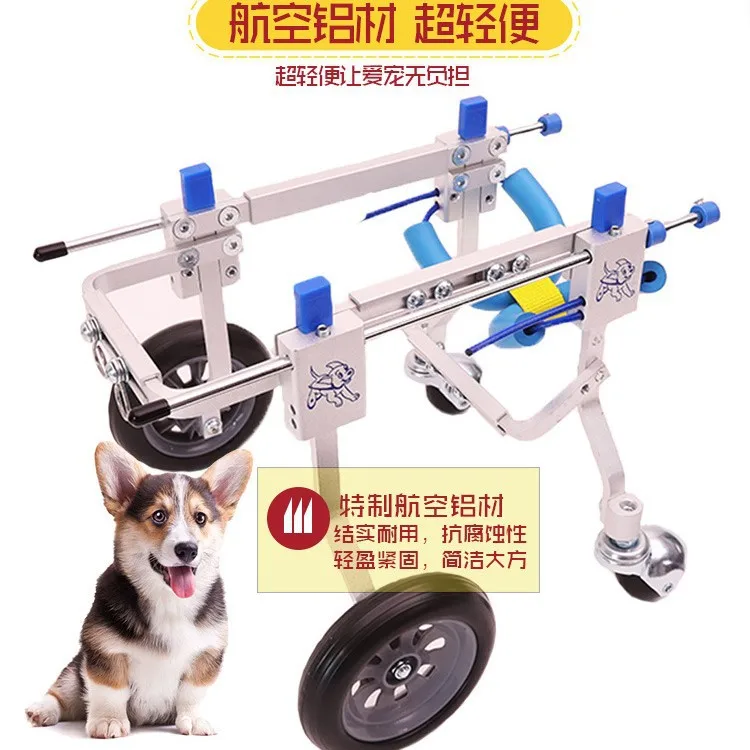 Silla de ruedas para perros – Ayuda en movilidad y rehabilitación - imagen 4