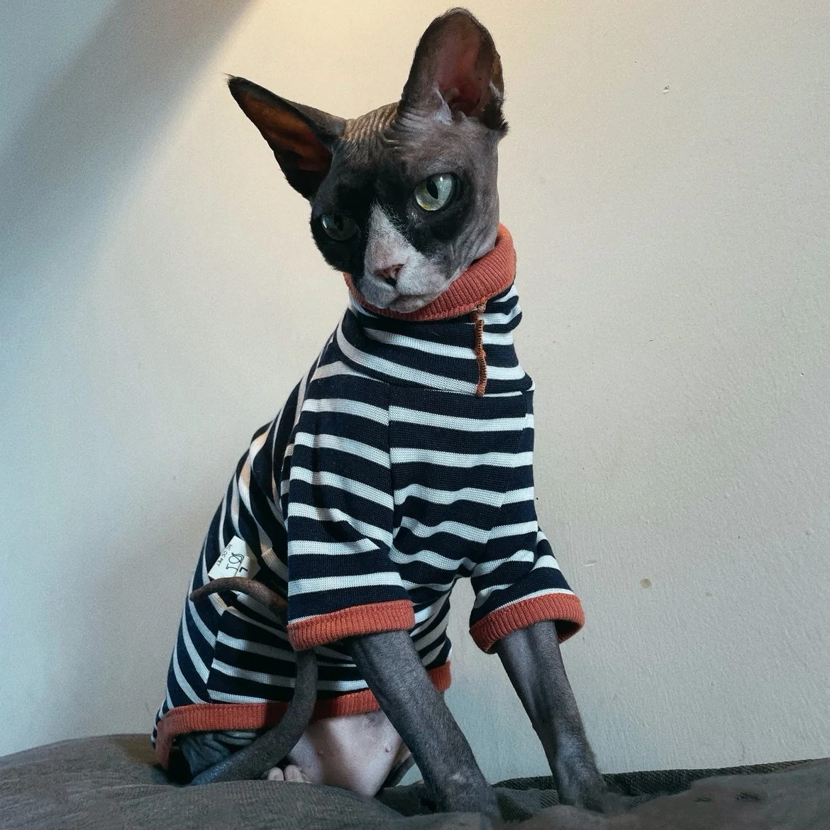 Camiseta de capa Base a rayas con cuello alto para gato Sphynx, abrigo de manga larga a la moda de otoño para gatos masculinos, sudadera negra para gatitos - imagen 4