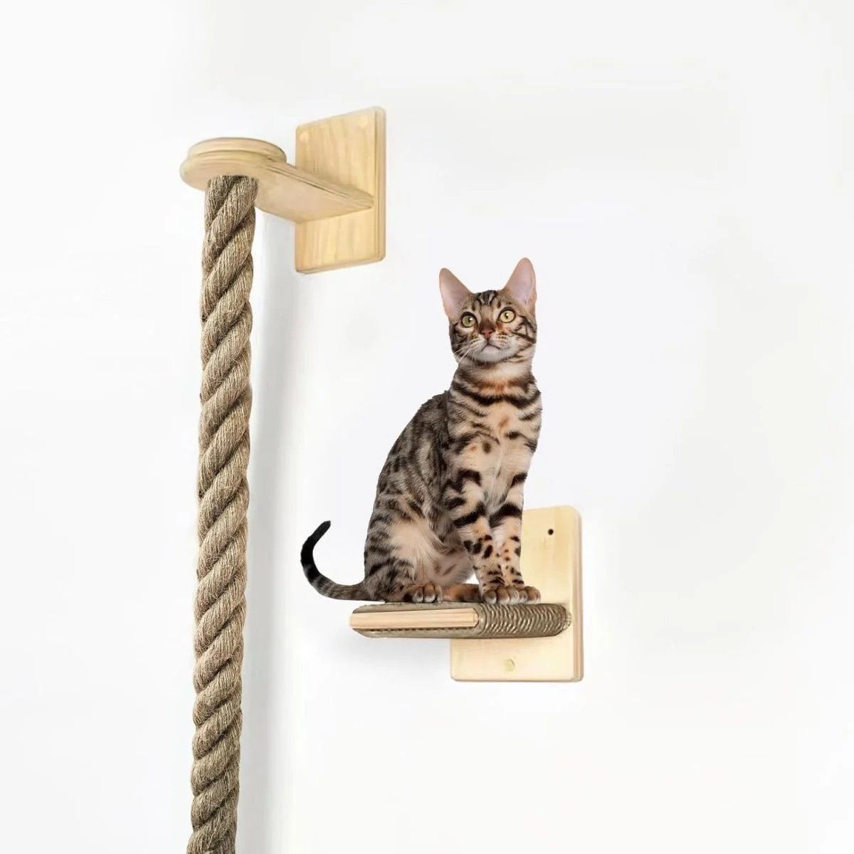 Rascador sisal para gatos – Montaje en pared o techo - imagen 3