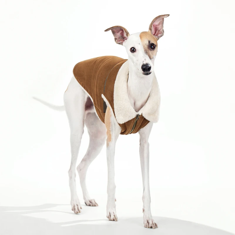 Chaleco Whippet de tela de ante de invierno a la moda, abrigo para perro galgo italiano, ropa cálida y suave para perro Terrier sin aire - imagen 2