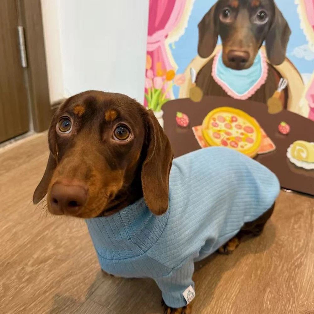 Abrigo suave manga larga para perros pequeños y medianos Dachshund - imagen 2