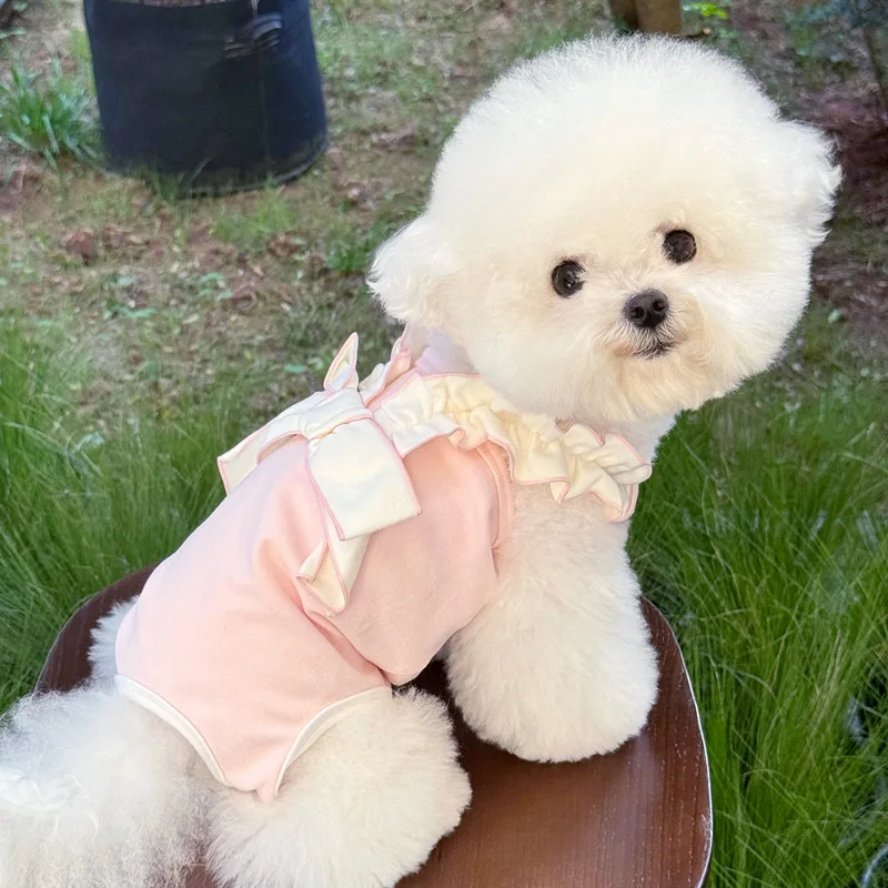 Vestido Halloween para perros pequeños con lazo colorido