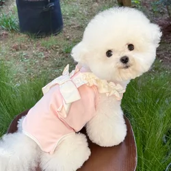 Vestido Halloween para perros pequeños con lazo colorido