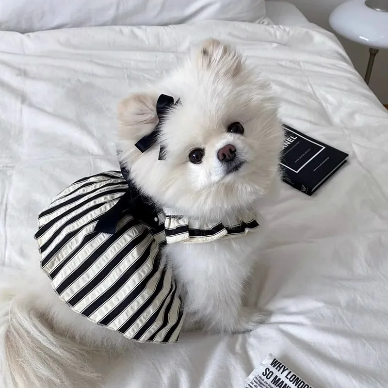 Camiseta sin mangas con mangas voladoras a rayas para mascotas, vestido dibujable con lazo, camiseta sin mangas pequeña de Teddy Yorkshire, ropa para perros pequeños - imagen 2