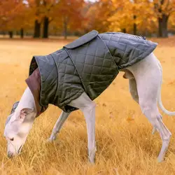 Chubasquero ligero para Whippet y Galgo – Protector contra viento