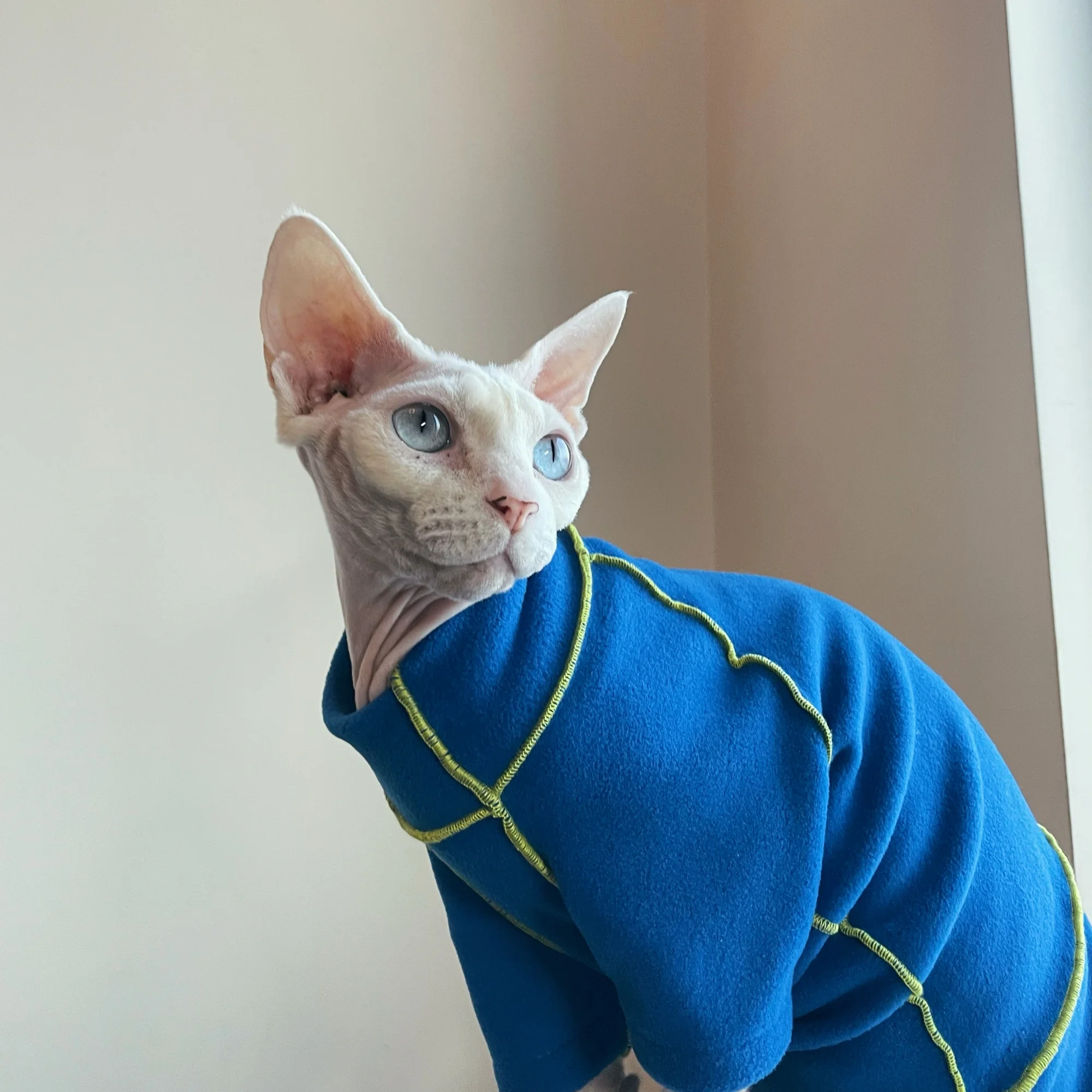 Mono de lana azul a la moda para gato esfinge, sudadera cálida de invierno para gato sin pelo, pijamas ligeros y suaves resistentes a las manchas para Devon - imagen 4