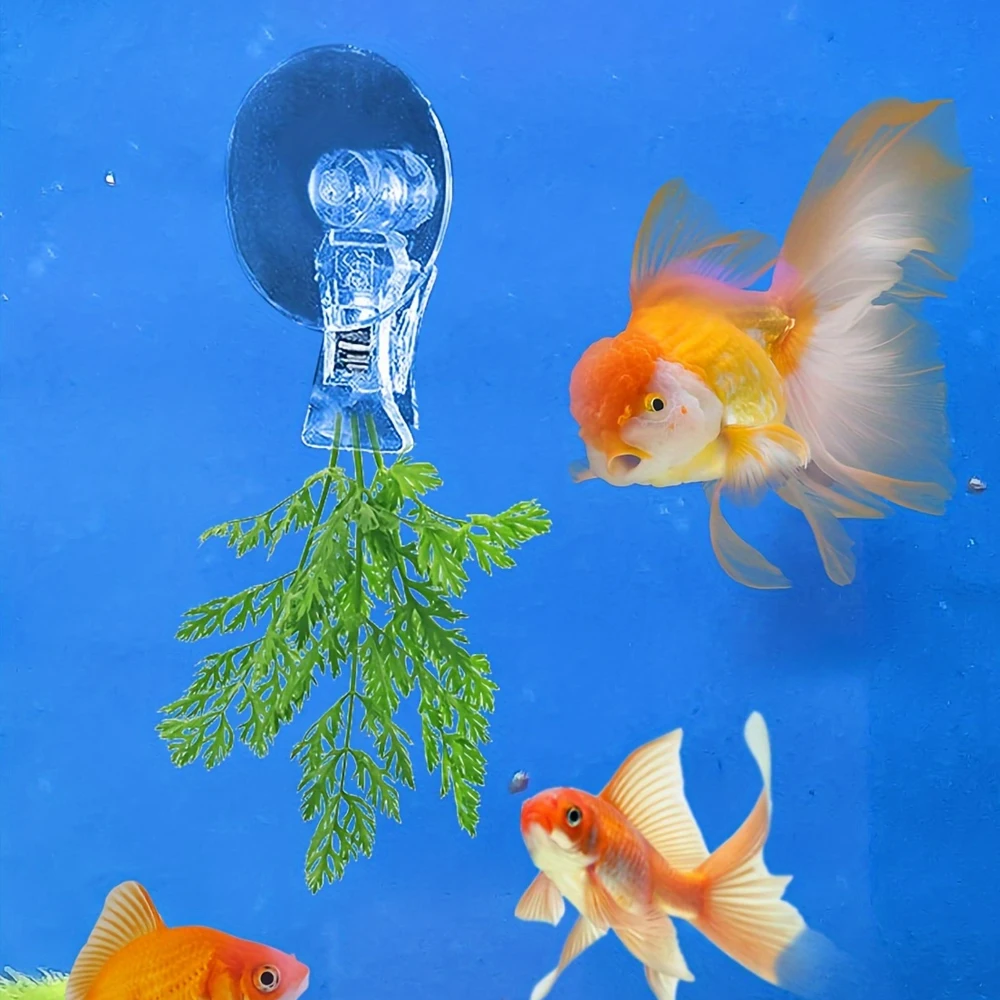 4 unids/set de Clips de ventosa multifuncionales transparentes, ventosas de plantas con soporte de Clip para suministros de pecera de acuario, paquete de fiesta