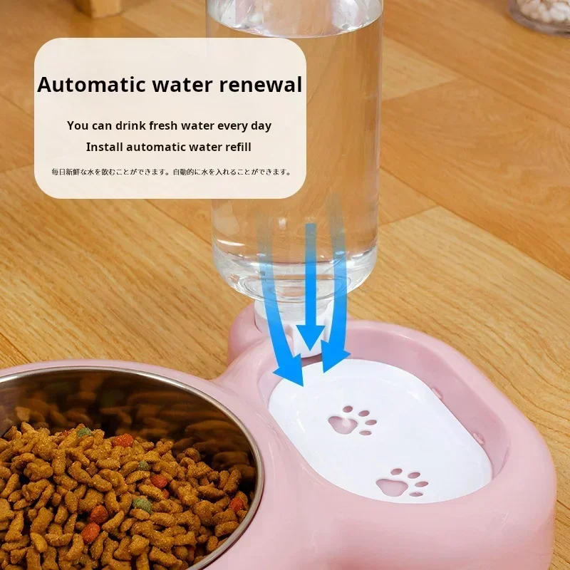 Establecer la botella para mantener el dispensador de su mascota automática y alimentada por agua, cuenco para mascotas, gato, doble cuenco hidratado - imagen 5