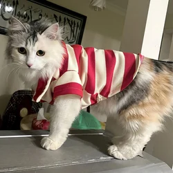 Polo a rayas para gatos y perros pequeños – Ligero de entretiempo