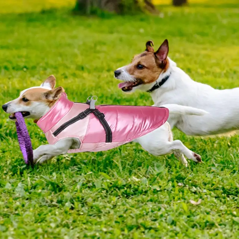 Chaleco cálido para perros, ropa para Chihuahua Pug, chaqueta para perros, abrigo para perros de otoño e invierno, traje para perros pequeños y medianos - imagen 4