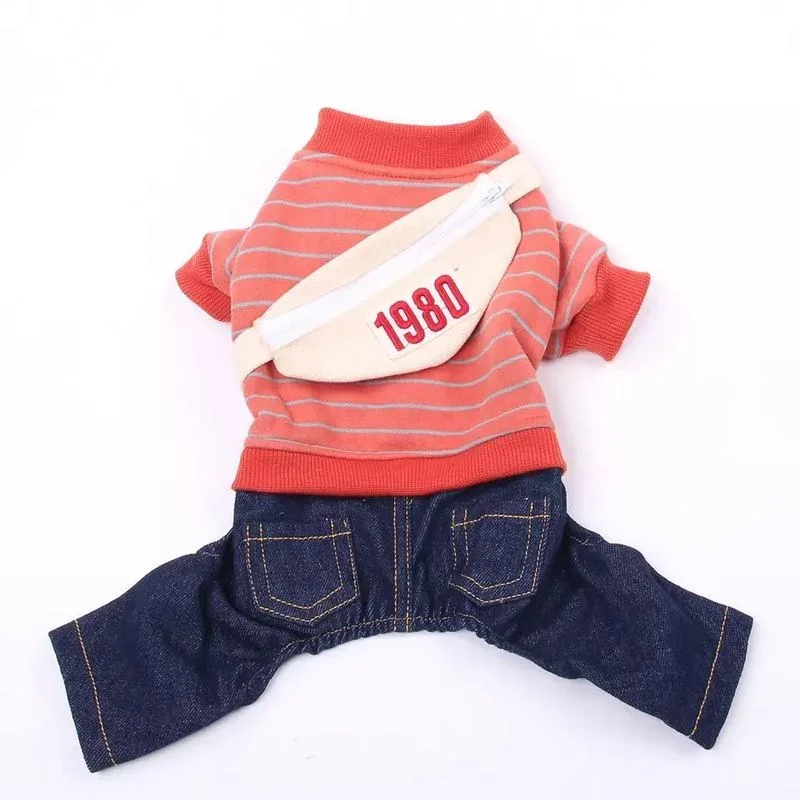 Diferentes tallas XS-XL para varias razas de mascotas