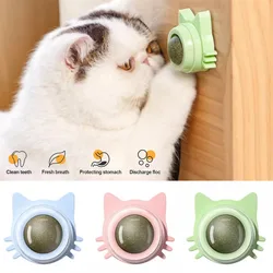 Piruleta de hierba gatera para gatos - diseño de pared
