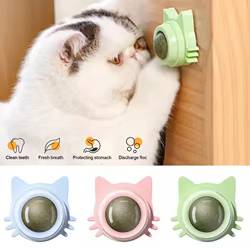 Piruleta de hierba gatera para gatos - diseño de pared