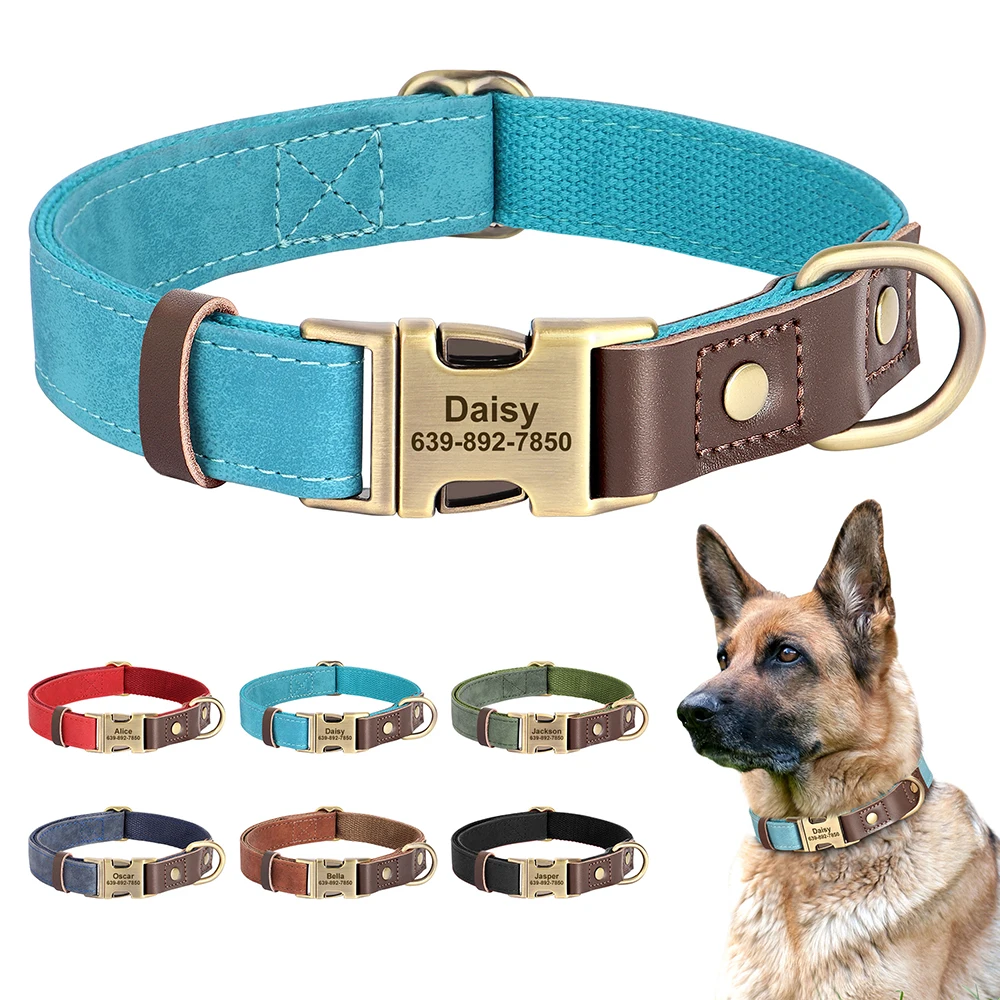 Collar personalizado ajustable para perros pequeños y medianos Pitbull