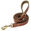 Brown Leash