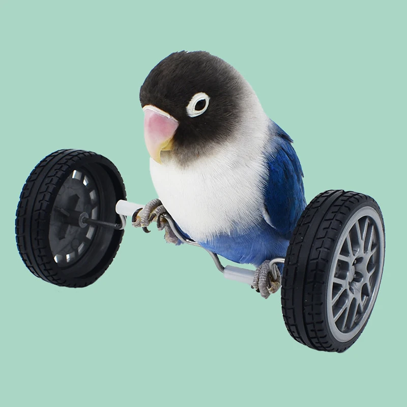 Bicicleta de equilibrio de entrenamiento para pájaros y loros, juguete interactivo, jaula para pájaros, cacatúas, suministros deportivos - imagen 3